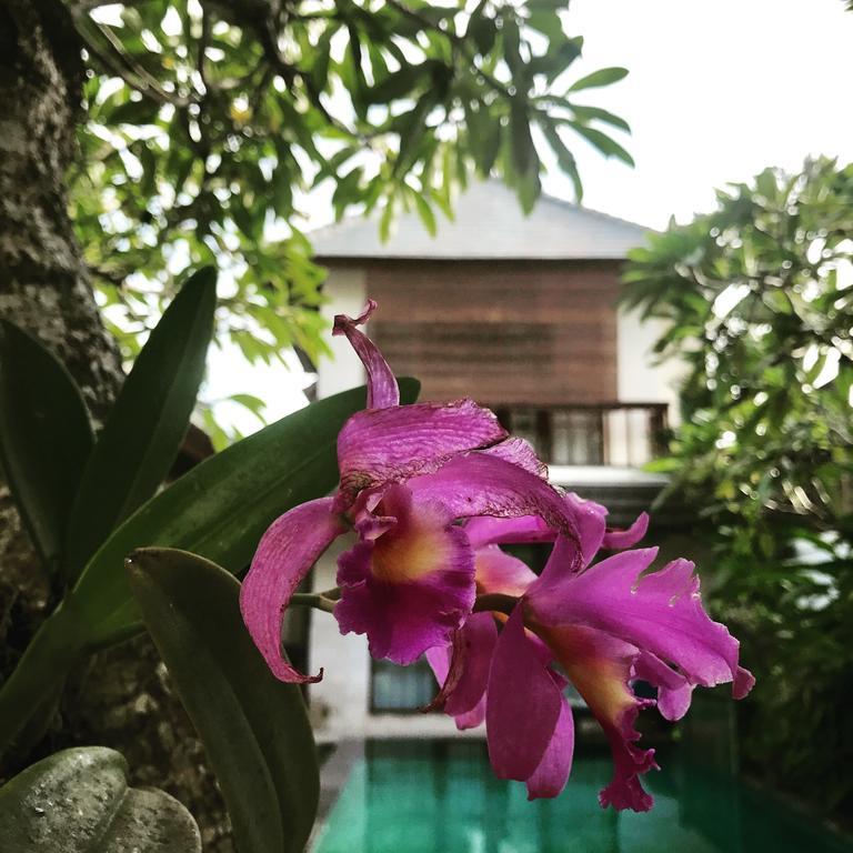 Bumi Ayu Villa Sanur Esterno foto